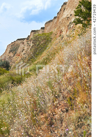 high coast by the sea, beautiful wild landscape  42719439