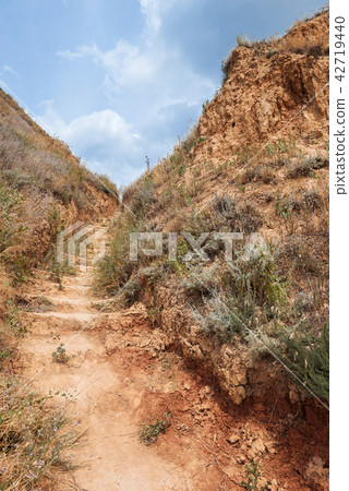 high coast by the sea, beautiful wild landscape  42719440