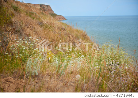 high coast by the sea, beautiful wild landscape  42719443