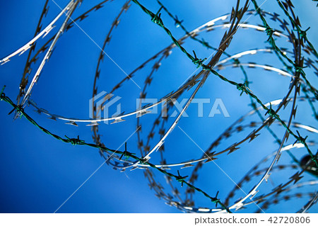 barbed wire background 42720806