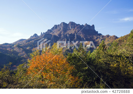 Myogi山在秋天 42720888