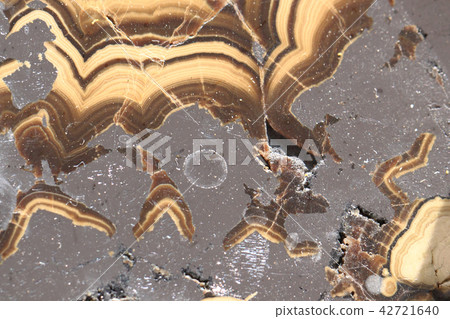 natural agate texture natural agate texture 42721640