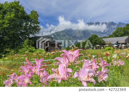 Iwayake Yurien 42722369