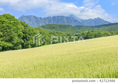 Togakushi soba Observation garden Togakushi soba Observation garden 42722986