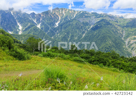 Goryu Goryu 42723142