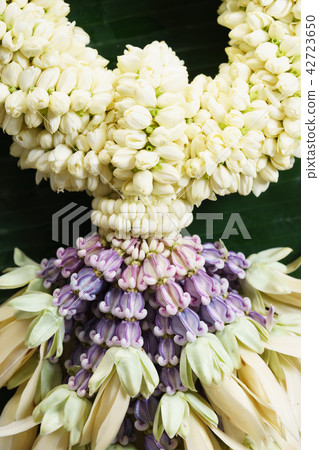 Jasmine garland 42723650
