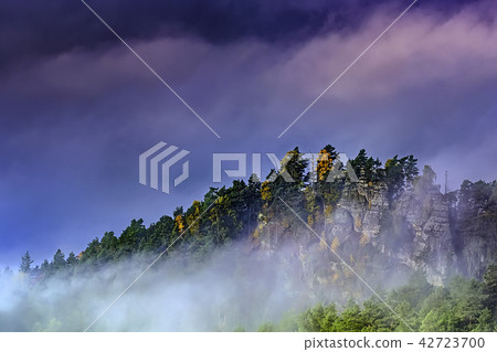 Foggy morning in the landscape 42723700
