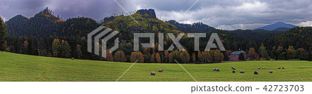 Autumn panoramic view Autumn panoramic view 42723703