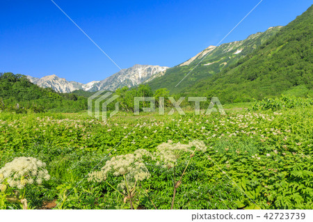 Tsugaike Nature Park Tsugaike Nature Park 42723739