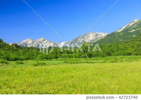 Tsugaike Nature Park 42723740