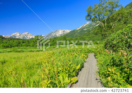 Tsugaike Nature Park 42723741
