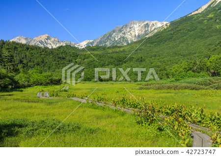 Tsugaike Nature Park 42723747