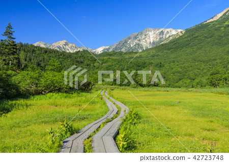 Tsugaike Nature Park 42723748