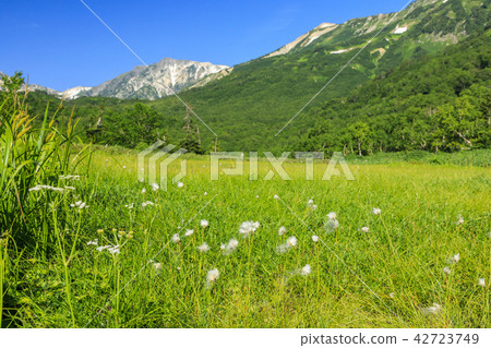 Tsugaike Nature Park 42723749
