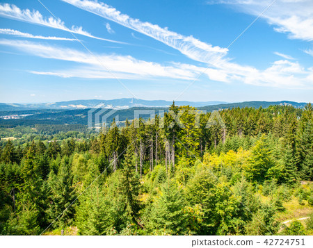 Green forest landscape of Jizera Mountains with Liberec and Jested Mounain on the background, Czech Green forest landscape of Jizera Mountains with Liberec and Jested Mounain on the background, Czech 42724751