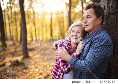 Senior couple on a walk in an autumn forest. Senior couple on a walk in an autumn forest. 42725042
