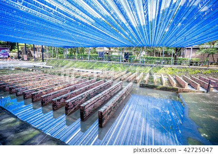 十鼓文化園區 臺灣 台南 老糖廠 TEN DRUM CULTRUE 台湾 遺跡 42725047