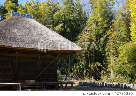 Autumn leaves fall 42725380