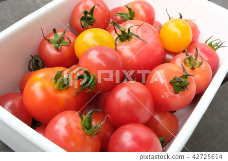 Petit tomatoes  42725614