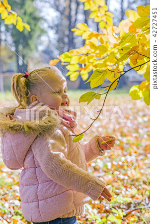 Child at tree 42727451