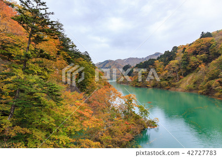 Autumn leaves of the Nasushiobara Shiobara Valley (Tokugawa gorge) in Tochigi Prefecture (November) Autumn leaves of the Nasushiobara Shiobara Valley (Tokugawa gorge) in Tochigi Prefecture (November) 42727783