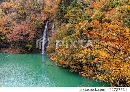 Waterfall in Nasushiobara retrospective in Tochigi ken (November) Waterfall in Nasushiobara retrospective in Tochigi ken (November) 42727784