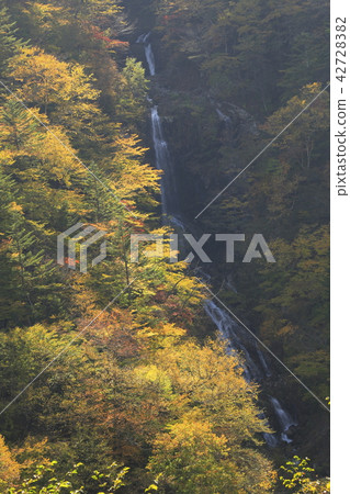 Nikko Snake's Fall Fall 42728382