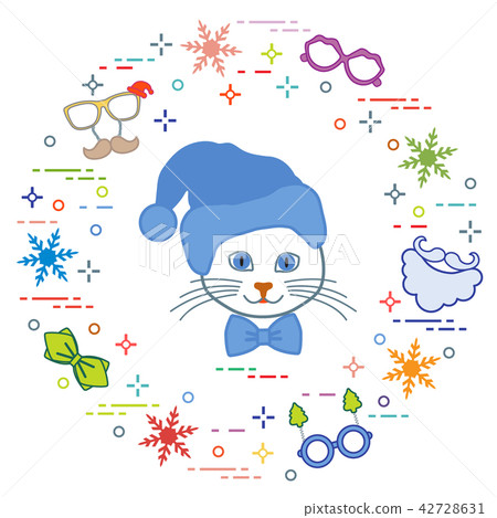 Muzzle of cat in Christmas hat and carnival masks, 42728631