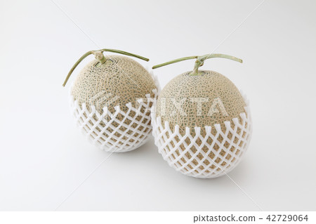 Earls melon white background fruit fruit 42729064