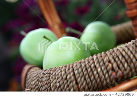 green Apple Basket garden green Apple Basket garden 42729069