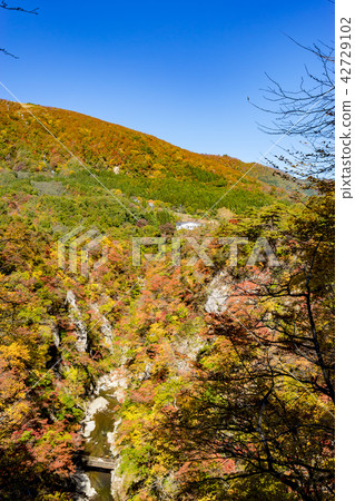 [宮城縣]鳴子峽的紅葉 42729102