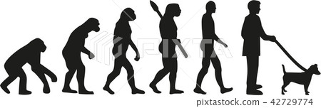 Jack Russell Terrier evolution Jack Russell Terrier evolution 42729774
