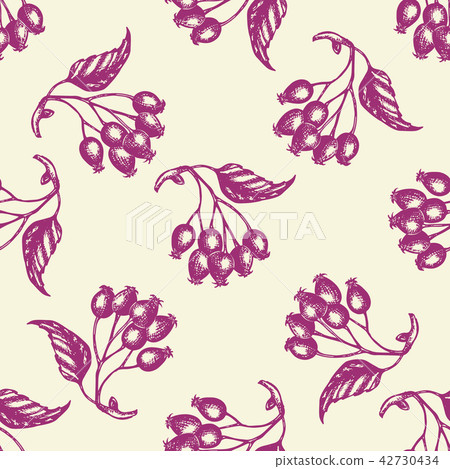 Seamless pattern with berries and leaves. Seamless pattern with berries and leaves. 42730434