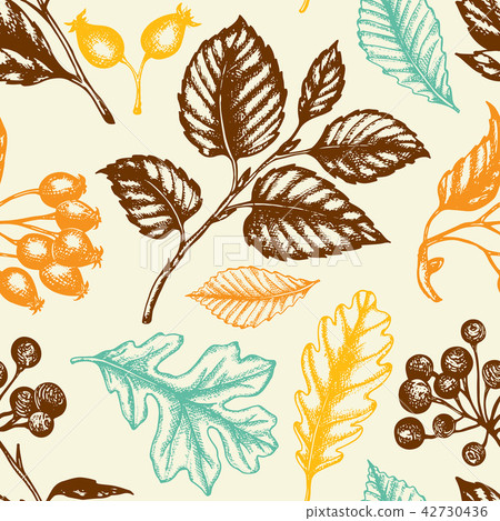 Seamless pattern with berries and falling leaves. Seamless pattern with berries and falling leaves. 42730436