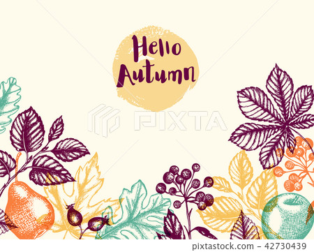 Autumn background with leaves and fruits - Stock Illustration [42730439 ...