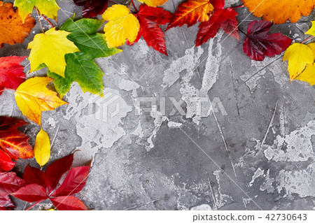 Natural fall leaves Natural fall leaves 42730643