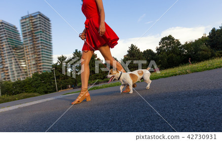 Young woman with her dog walking. 42730931