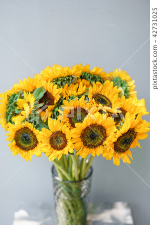 Bouquet of yellow sunflowers , flower in vase on old vintage table. Room morning. Gray background Bouquet of yellow sunflowers , flower in vase on old vintage table. Room morning. Gray background 42731025