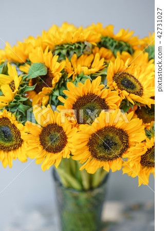 Bouquet of yellow sunflowers , flower in vase on old vintage table. Room morning. Gray background Bouquet of yellow sunflowers , flower in vase on old vintage table. Room morning. Gray background 42731027