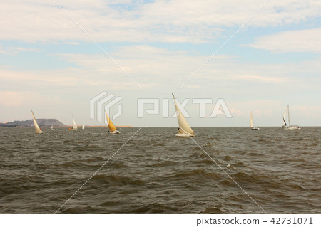 Sailing Yachts at Sea. 42731071