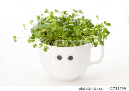 警告：警惕騙局蘿蔔子彈 42731799