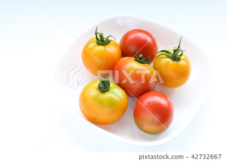新鮮的蕃茄新鮮蔬菜 42732667