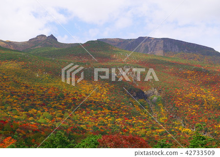 Adachi-tama Adachi-tama 42733509