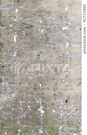 The old  texture painted the wooden board 42733988