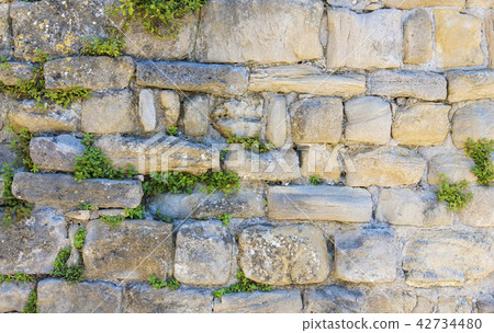 Stone wall with green vegetation in castle 42734480