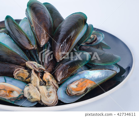 Mussel on white background Mussel on white background 42734611