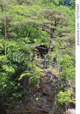 Ryuusyo·Goryu神社 42735887