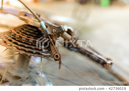Rear wheel cassette and chain in a mountain bike 42736019