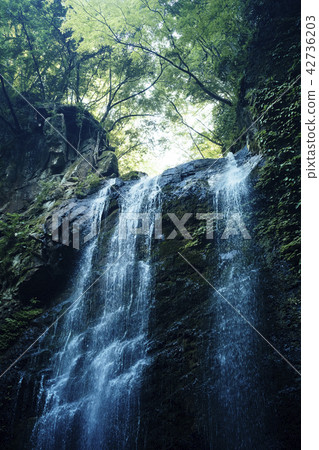 A mysterious waterfall in the forest 42736203