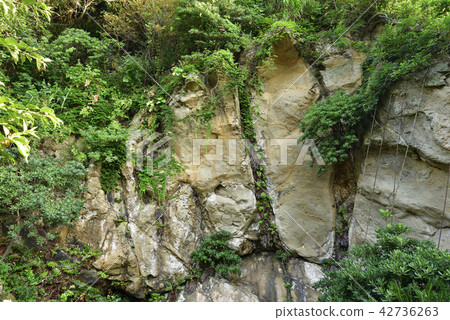 Footprints of God (Fukui City, Fukui Prefecture) Footprints of God (Fukui City, Fukui Prefecture) 42736263